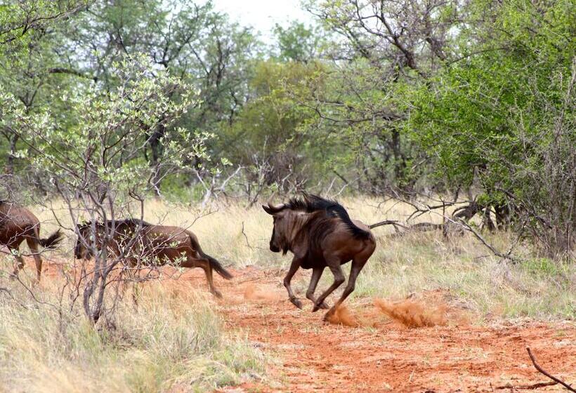 호텔 Iphofolo Lodge