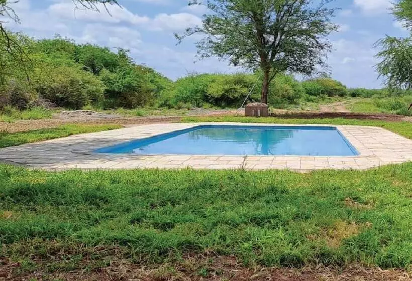 ホテル Iphofolo Lodge