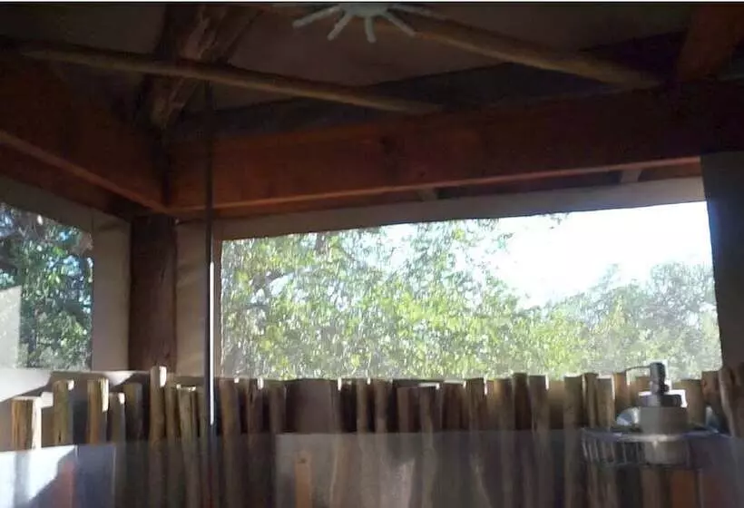 ホテル Iphofolo Lodge