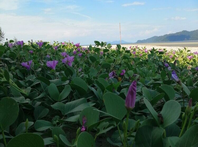 酒店 Sangthong Andaman Resort