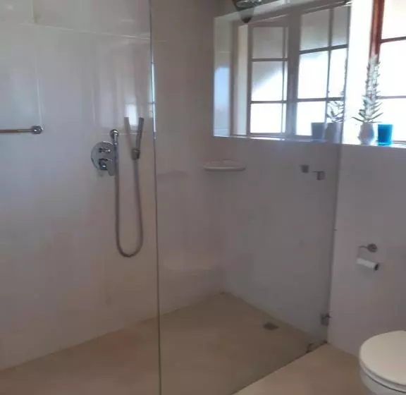 Majatalo Happy Jackal