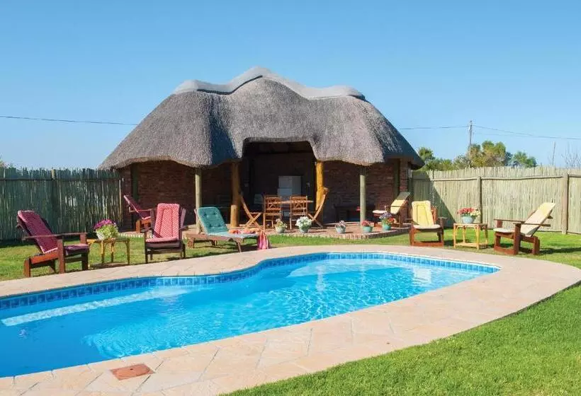 Majatalo Happy Jackal