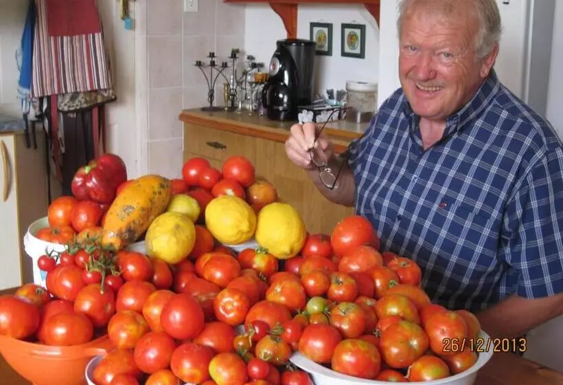 Majatalo Happy Jackal