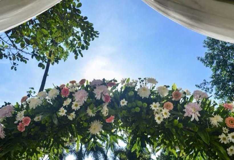 פנסיון The Garden Family Guest House