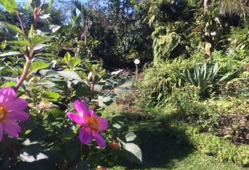 Majatalo The Garden Family Guest House