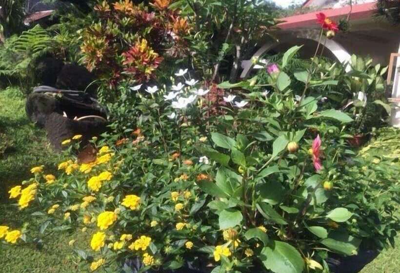 פנסיון The Garden Family Guest House