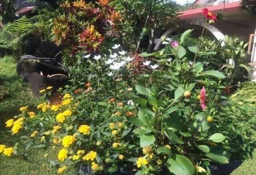 Majatalo The Garden Family Guest House