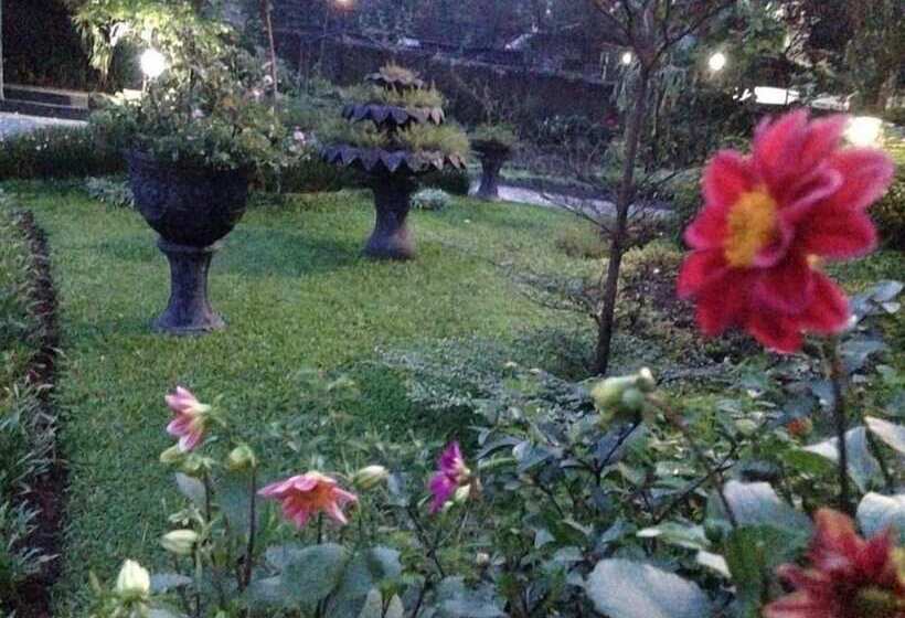 פנסיון The Garden Family Guest House