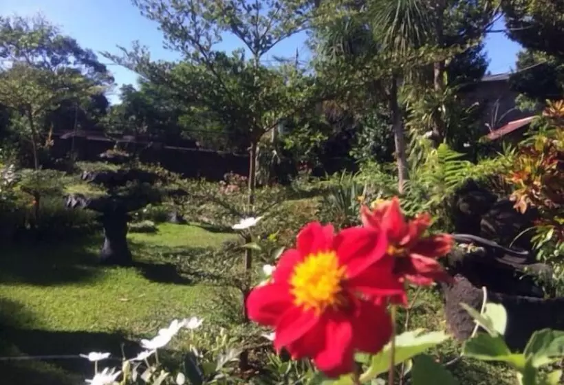 Majatalo The Garden Family Guest House