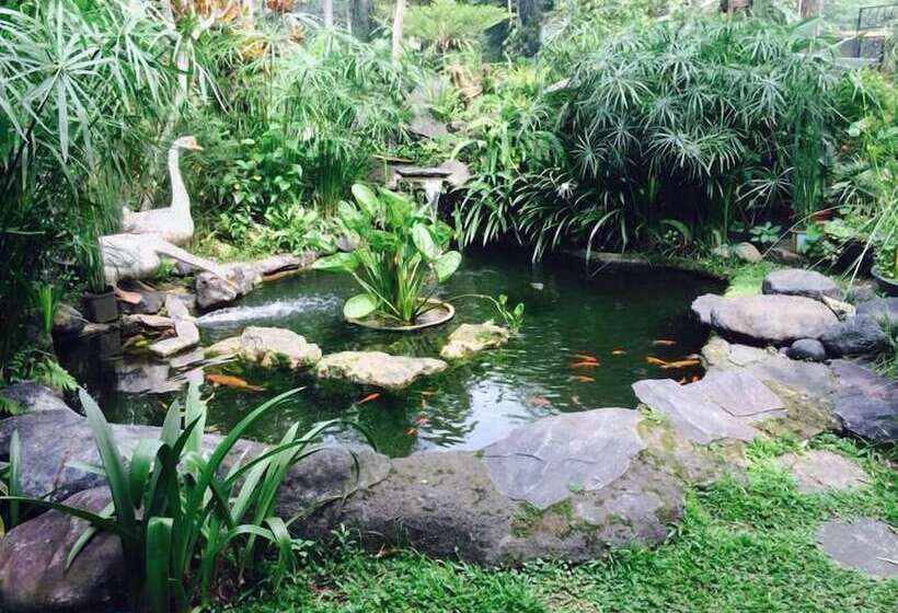 פנסיון The Garden Family Guest House