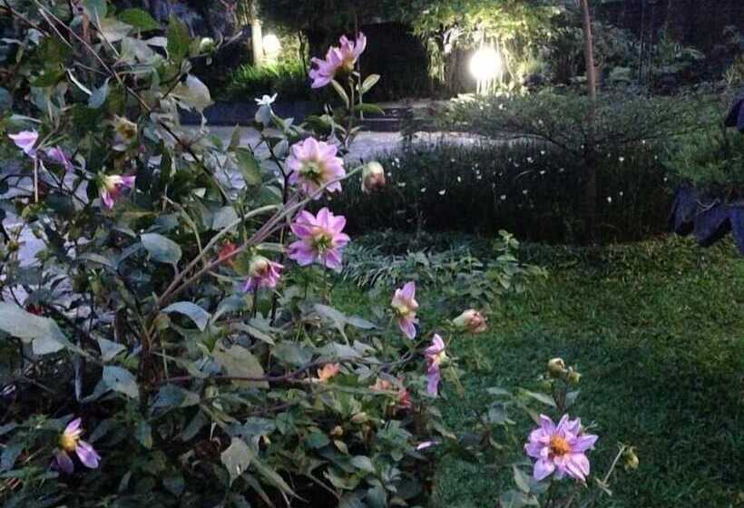 פנסיון The Garden Family Guest House