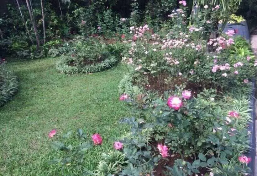 Majatalo The Garden Family Guest House