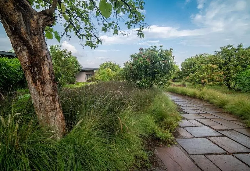 Lomakeskus Woods At Sasan