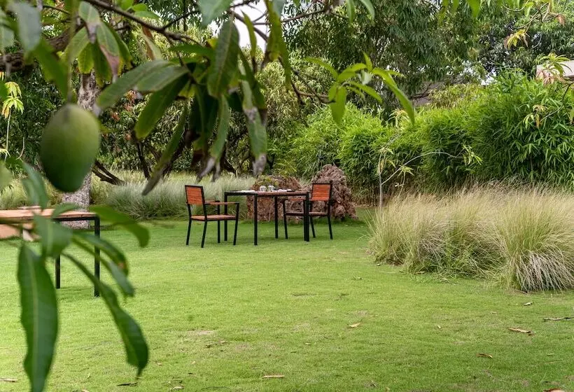 Lomakeskus Woods At Sasan