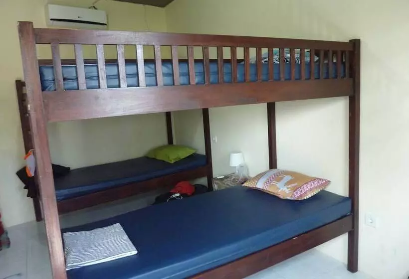 ユースホステル Surfers Dorm House