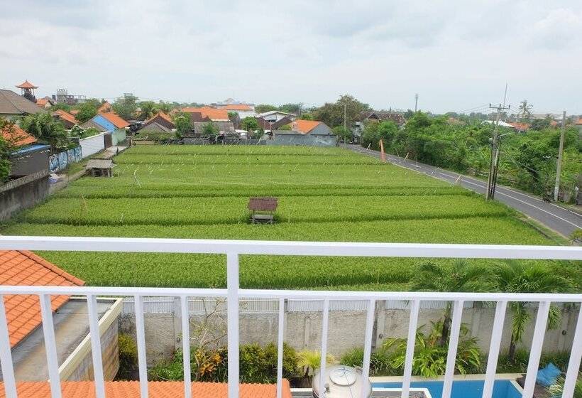 旅馆 Surfers Dorm House