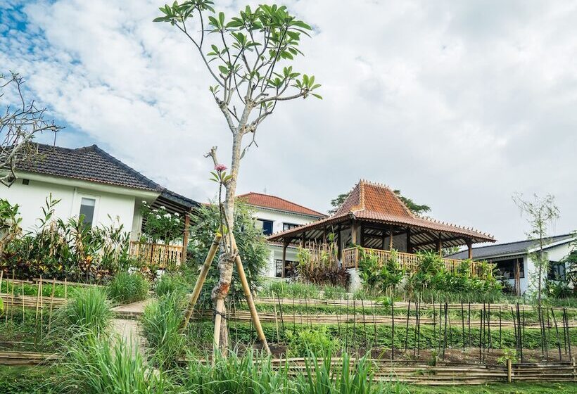 مبيت وإفطار Canggu Villa & Cooking Retreat