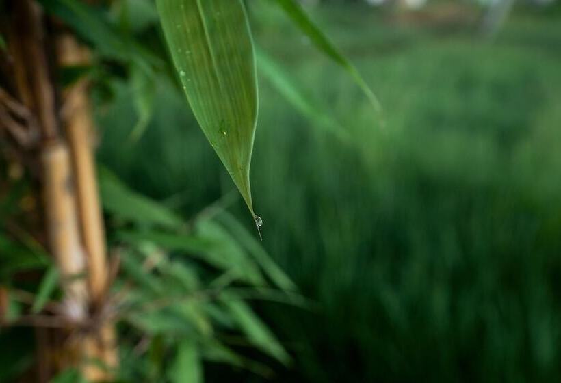 住宿加早餐  Dukuh Sebatu Resort & Villa