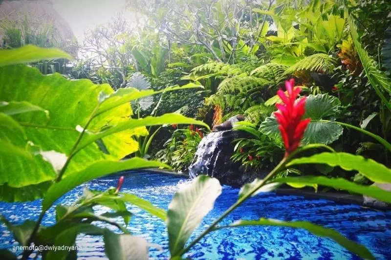 Aamiaismajoitus (B&B) Gopala Villa Ubud