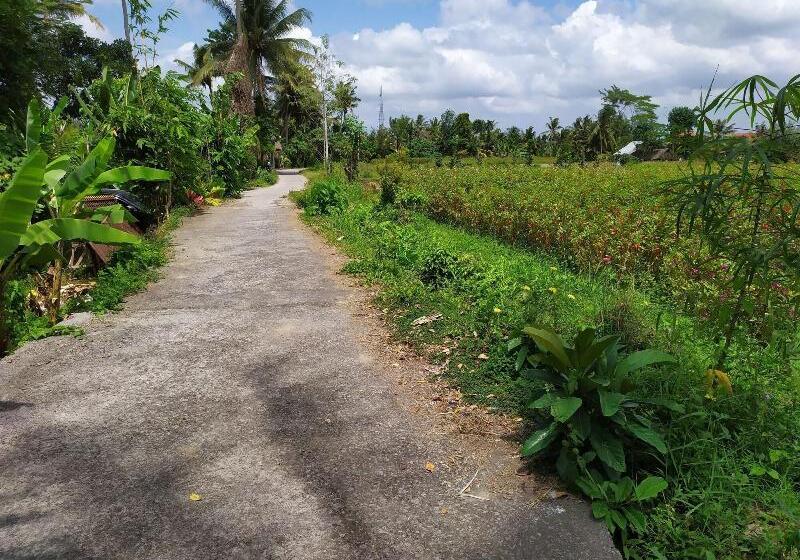 住宿加早餐 Gopala Villa Ubud