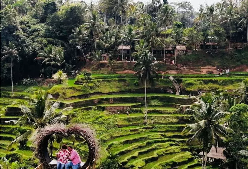 Aamiaismajoitus (B&B) Villa Neyang