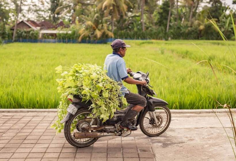 住宿加早餐 Villa Neyang