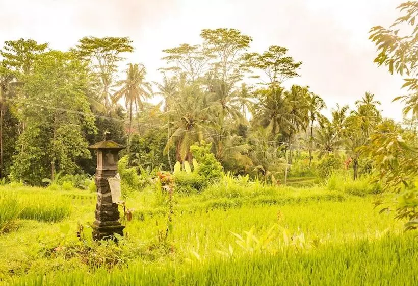 Aamiaismajoitus (B&B) Villa Neyang