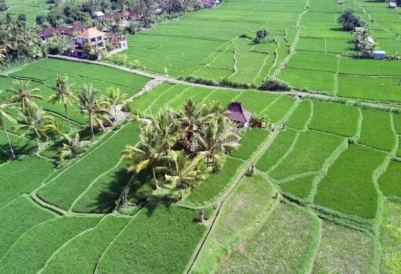 Aamiaismajoitus (B&B) Villa Neyang