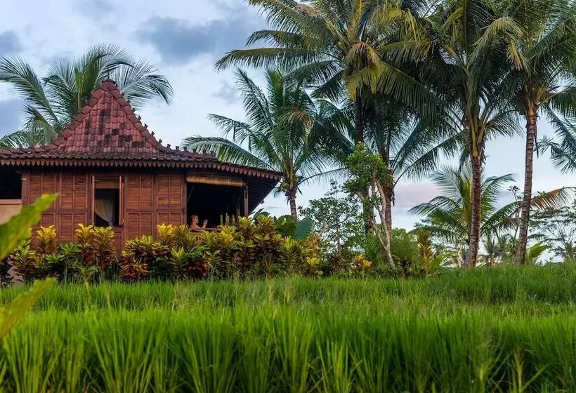 Aamiaismajoitus (B&B) Villa Neyang