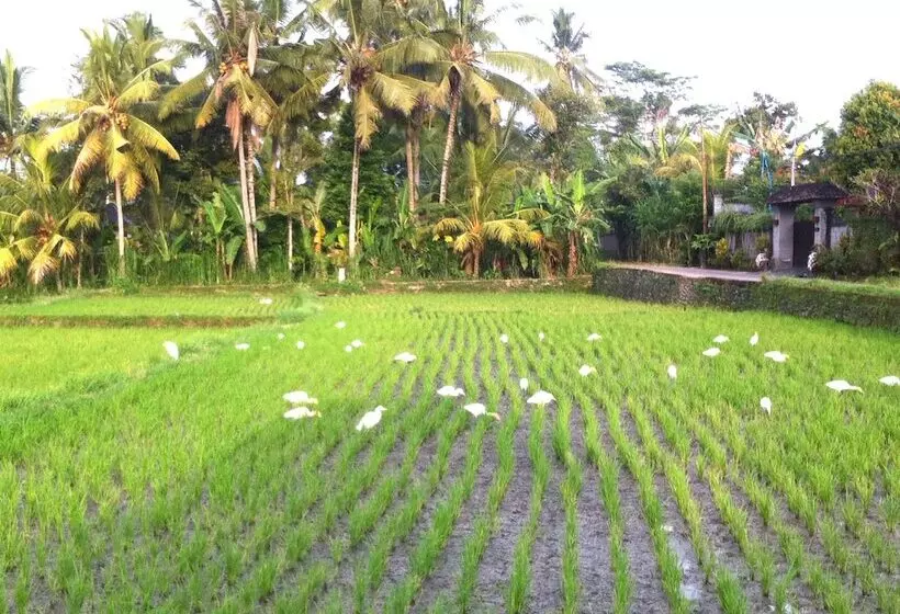 Aamiaismajoitus (B&B) Villa Neyang