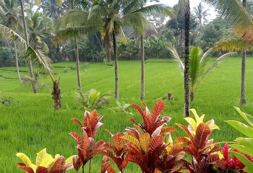 Aamiaismajoitus (B&B) Villa Neyang