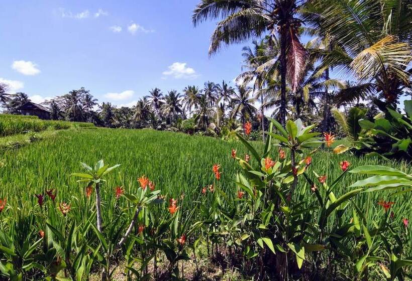 住宿加早餐 Villa Neyang