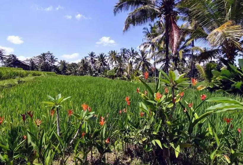 Aamiaismajoitus (B&B) Villa Neyang