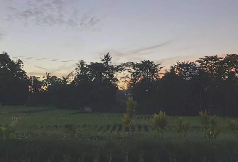 Aamiaismajoitus (B&B) Villa Neyang