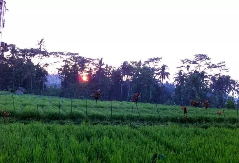 Aamiaismajoitus (B&B) Villa Neyang