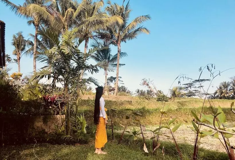 Aamiaismajoitus (B&B) Villa Neyang