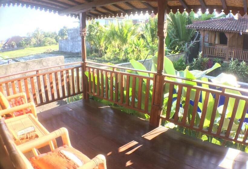 Green Paddy Hostel & Villa