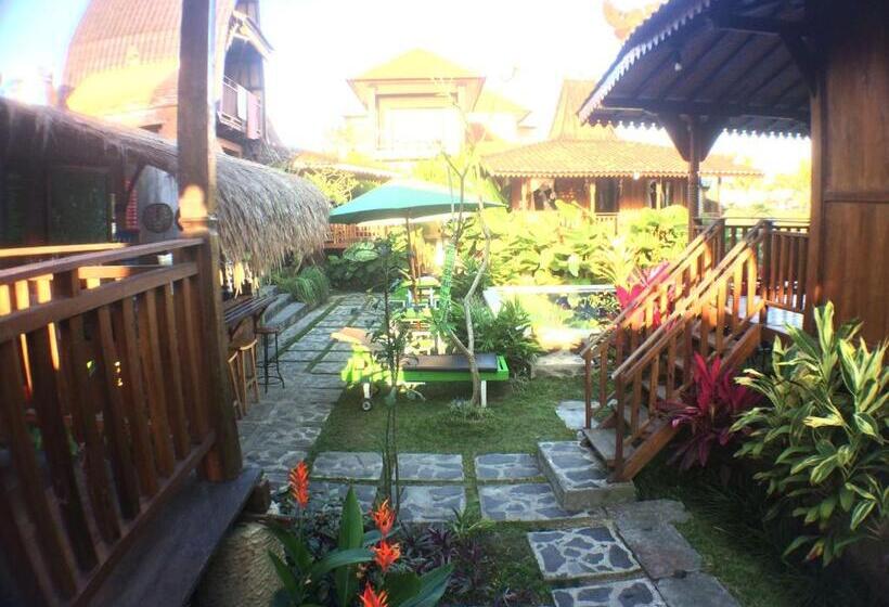 Green Paddy Hostel & Villa