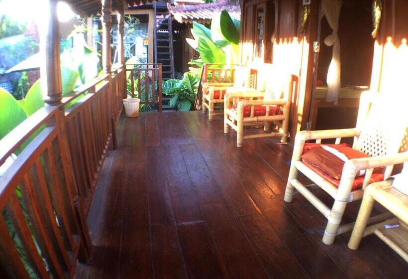 Green Paddy Hostel & Villa