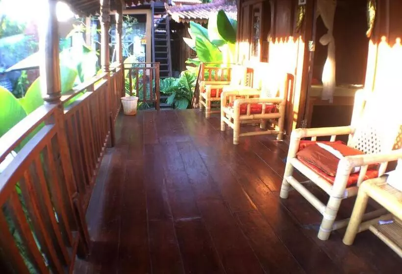 Green Paddy Hostel & Villa