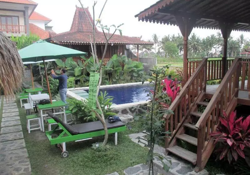 Green Paddy Hostel & Villa