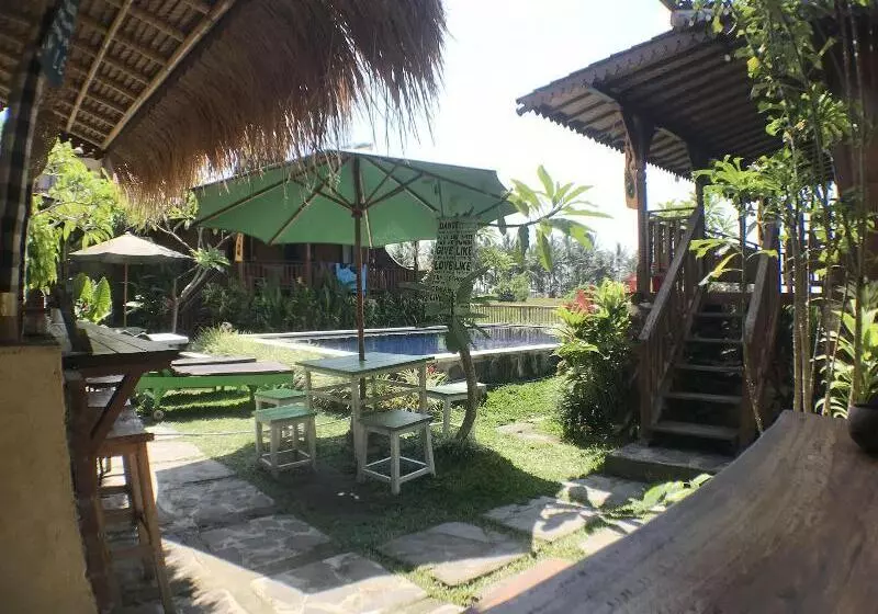 Green Paddy Hostel & Villa