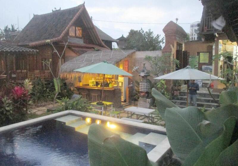 Green Paddy Hostel & Villa