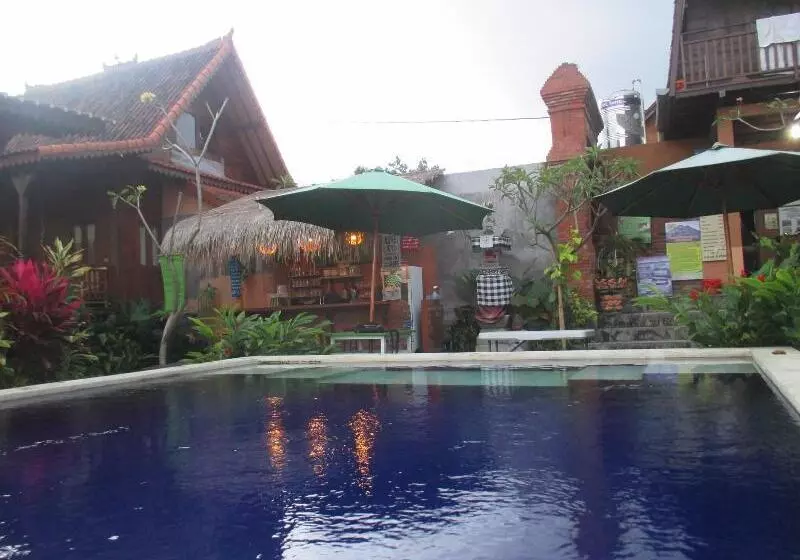 Green Paddy Hostel & Villa