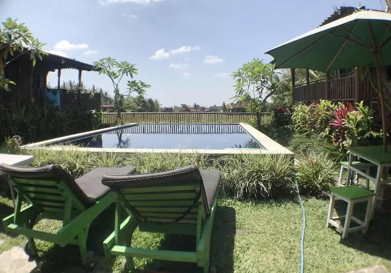 Green Paddy Hostel & Villa