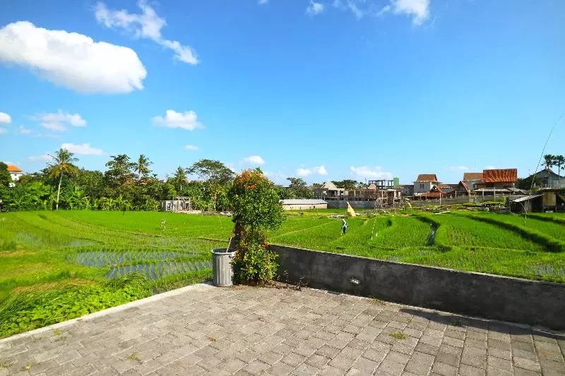 ペンション Pererenan Nengah Guest House Canggu