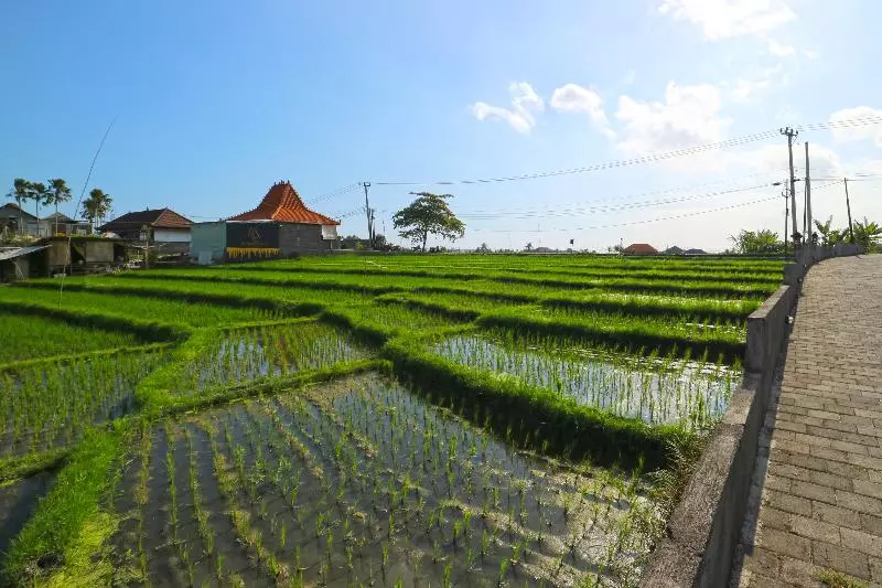 ペンション Pererenan Nengah Guest House Canggu
