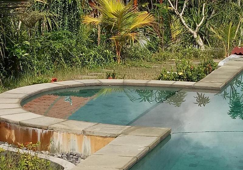 膳宿费 Pier26 Bali Homestay