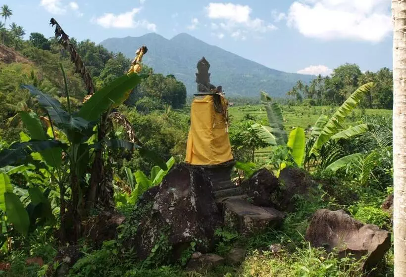 ユースホステル Alamku Bungalow