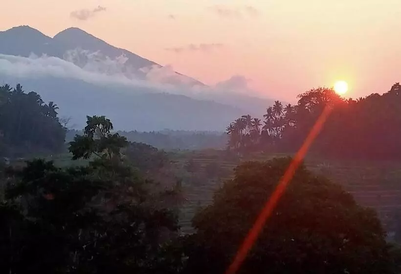 ユースホステル Alamku Bungalow